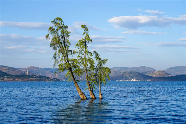 云南旅游,云南旅行社,云南團(tuán)建公司,云南策劃公司,云南會(huì)議會(huì)展,云南旅游地接,大理旅游,大理旅行社,大理團(tuán)建公司,大理策劃公司,大理會(huì)議會(huì)展：避暑，為什么要去大理？