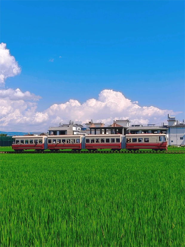 大理旅游,大理旅行社,大理團(tuán)建公司,大理策劃公司,大理會(huì)議會(huì)展,云南旅游,云南旅行社,云南團(tuán)建公司,云南策劃公司,云南會(huì)議會(huì)展：坐上喜洲稻田小火車(chē)，一秒進(jìn)入動(dòng)漫畫(huà)卷