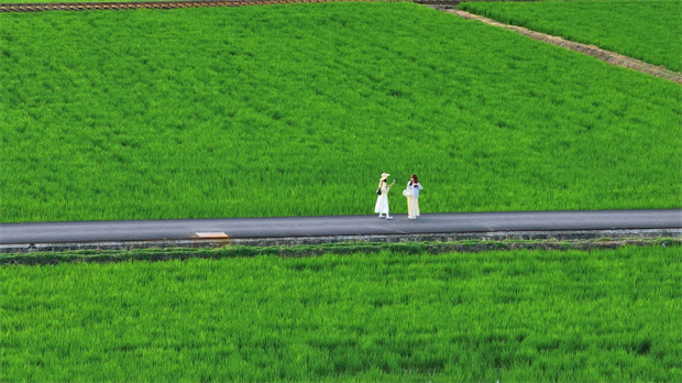 云南旅游,云南旅行社,云南團(tuán)建公司,云南策劃公司,云南會(huì)議會(huì)展,大理旅游,大理旅行社,大理團(tuán)建公司,大理會(huì)議會(huì)展：去大理，坐上那趟心愛(ài)的小火車(chē)